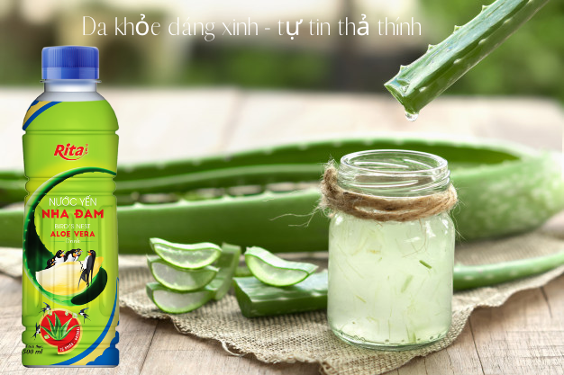 Aloe vera 
