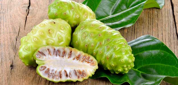 noni
