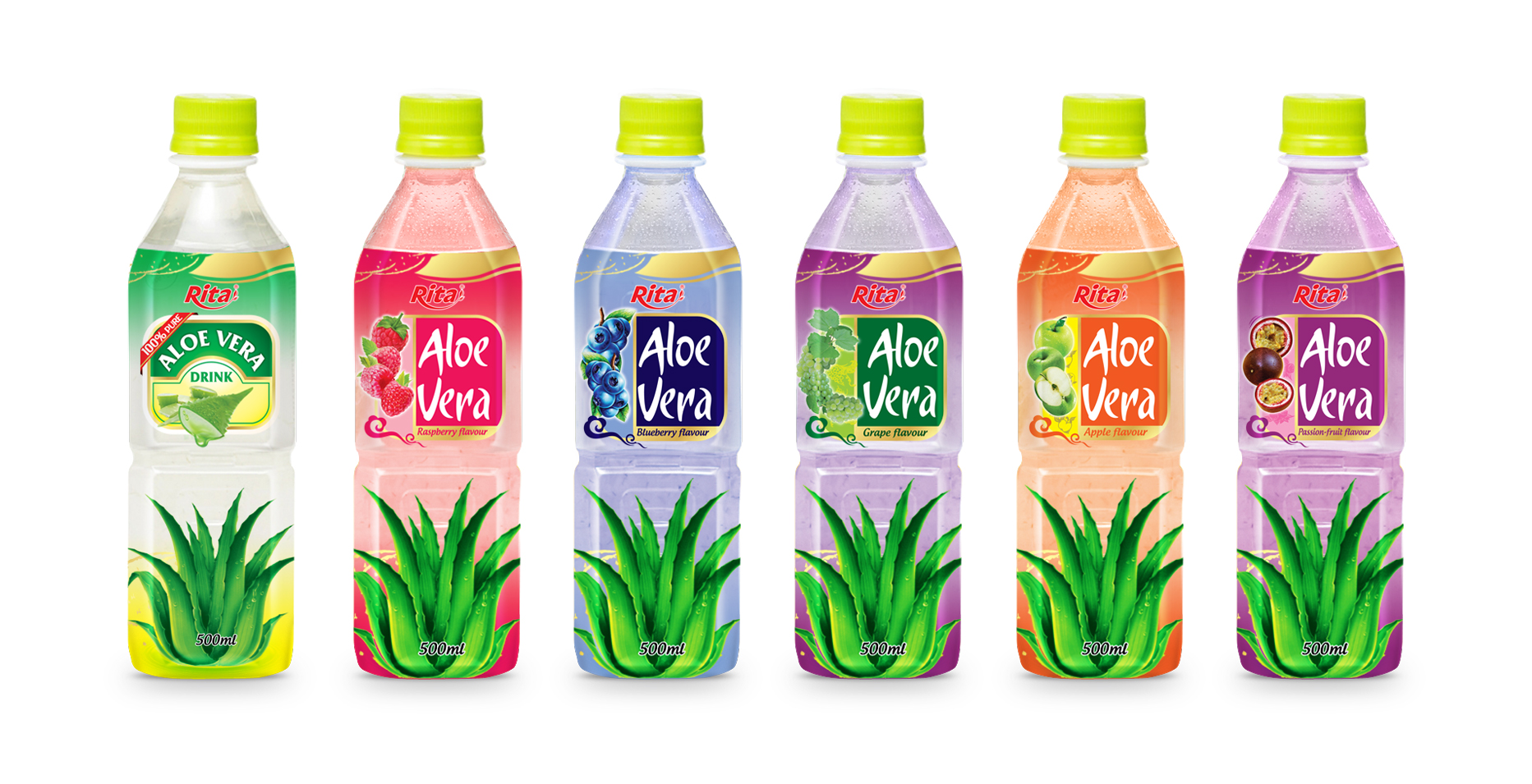 Aloe Vera Vietnam Manufacturers